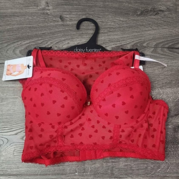 Daisy Fuentes Other - Women's lace heart print bra + panties set 34B & S NWT